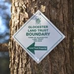 Monthly Board Meeting