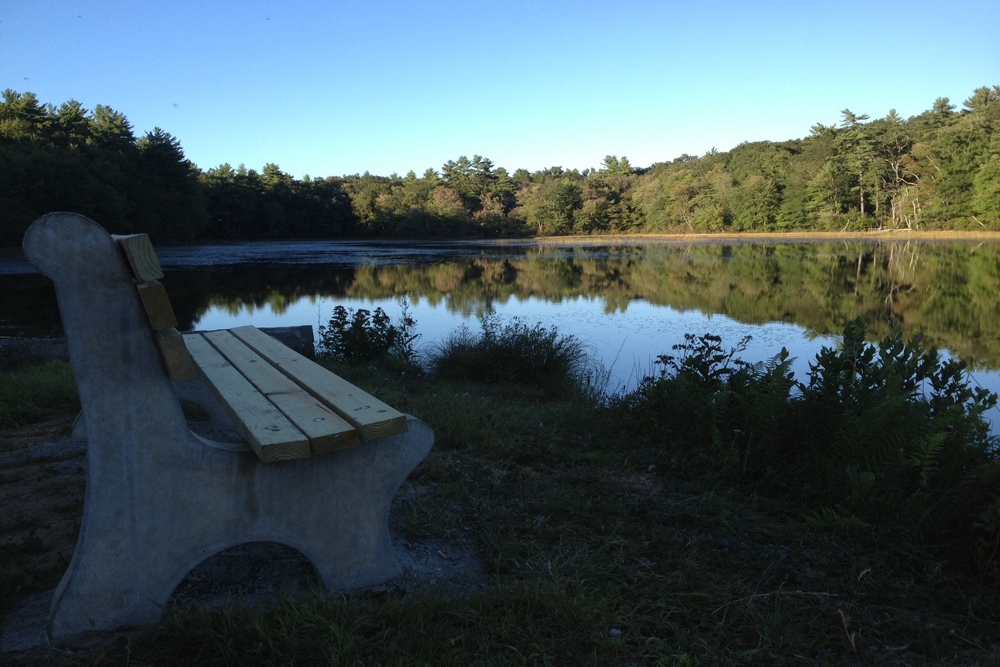 bench hawkins pond